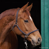 Kavalkade "Cavo" Halter & Lead Rope Set