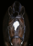 High end english bridle