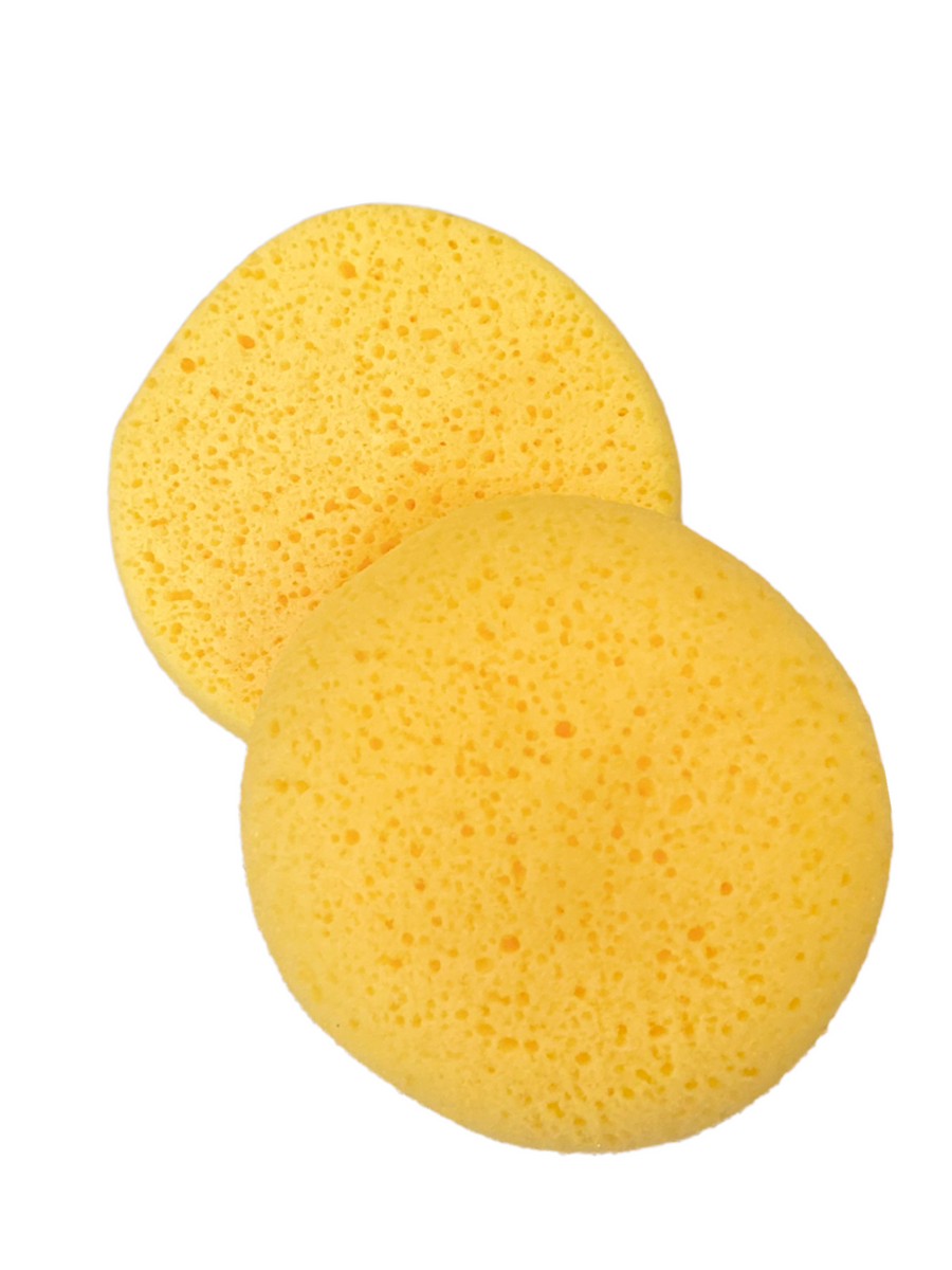 Carr & Day & Martin Horse Care Sponge