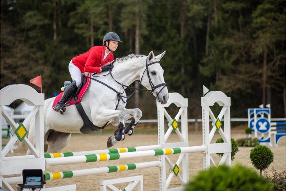 Dressage vs Show Jumping! What are the Differences?