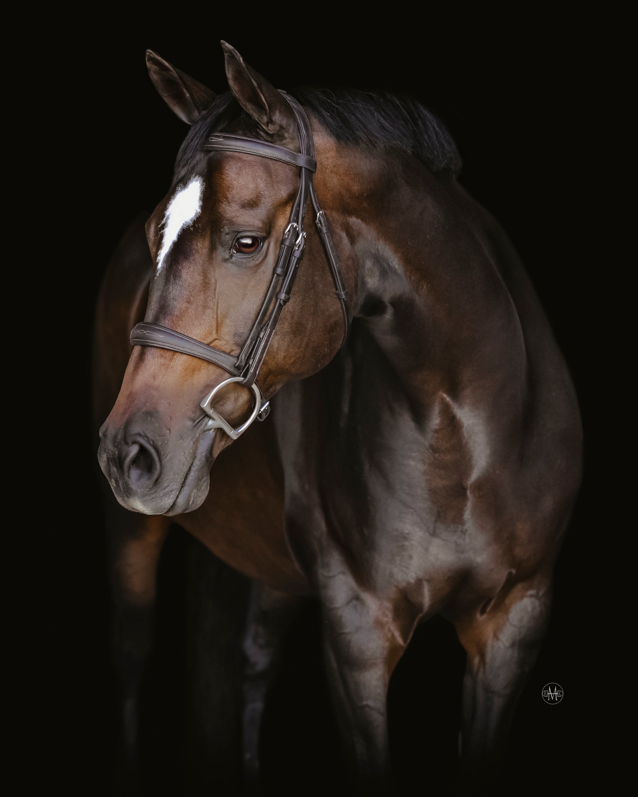 Aramas Mild Raised Z-Shape Bridle w/Rubber Reins